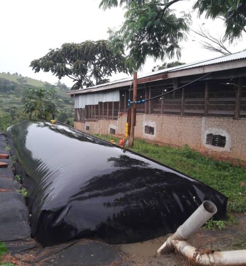 125279510_3436904593092353_6822892267069484310_n